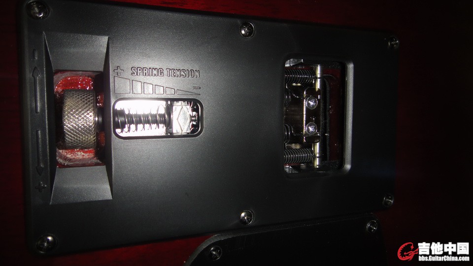 DSC01656_调整大小.JPG