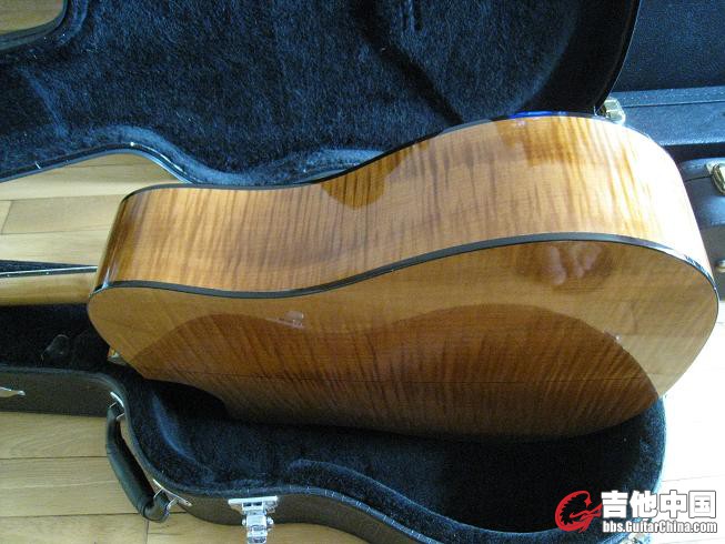 TAYLOR 310ce 016.jpg