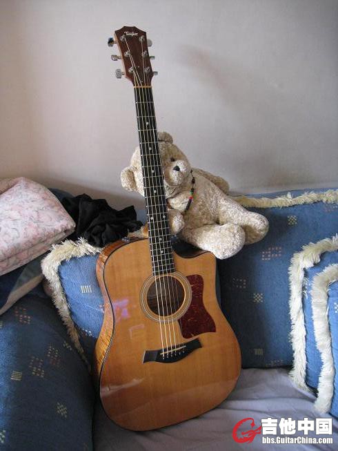 TAYLOR 310ce 025.jpg