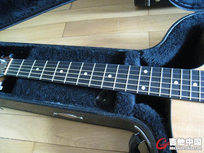 TAYLOR 310ce 014.jpg