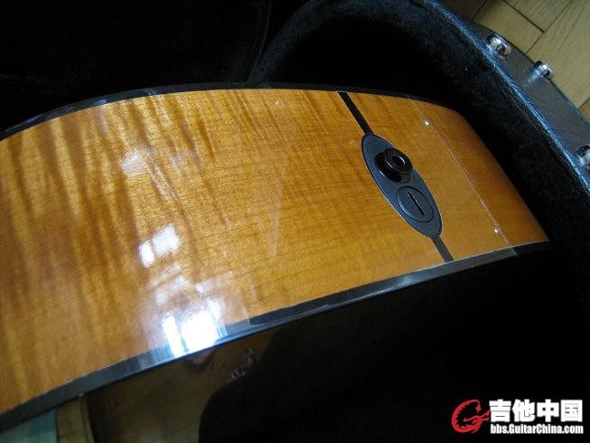 TAYLOR 310ce 019.jpg