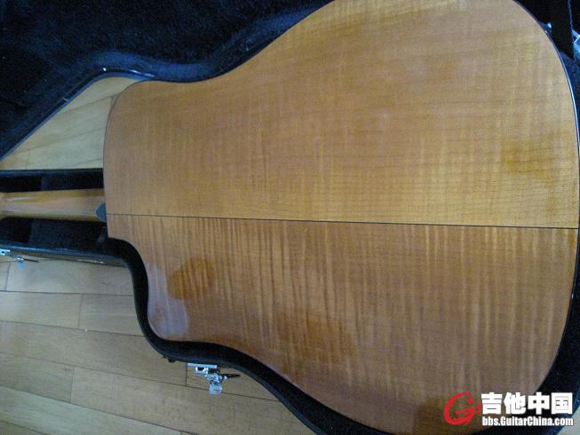 TAYLOR 310ce 022.jpg