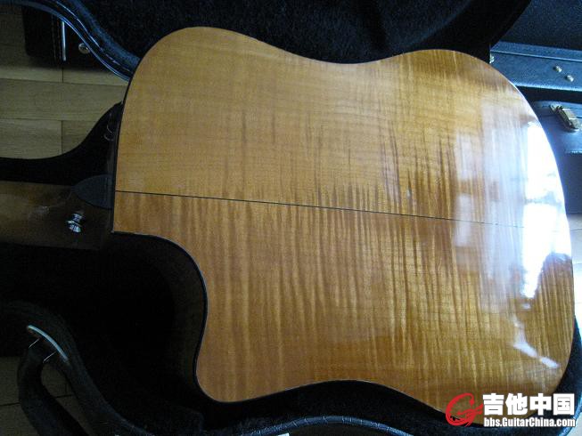 TAYLOR 310ce 021.jpg