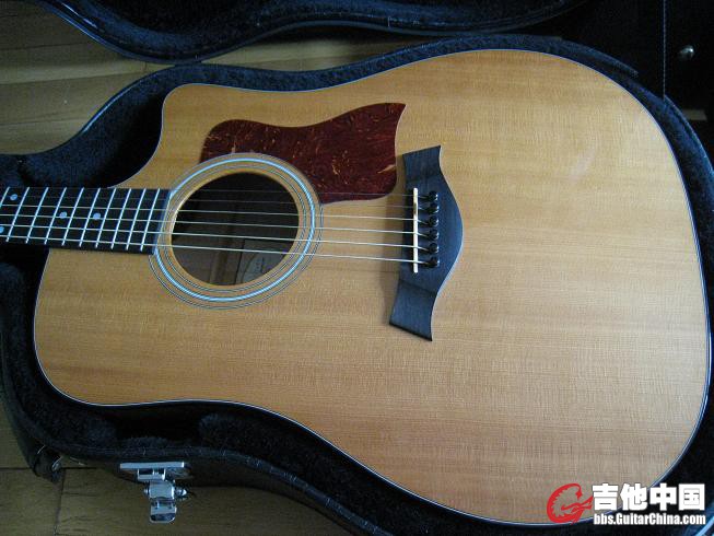 TAYLOR 310ce 010.jpg
