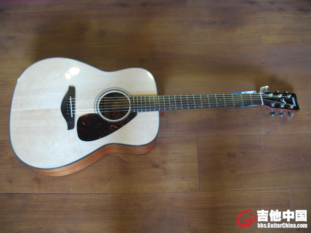 乐器照片 234.jpg