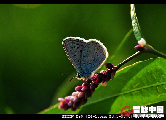DSC_0279.jpg