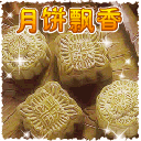 20080910203548.gif