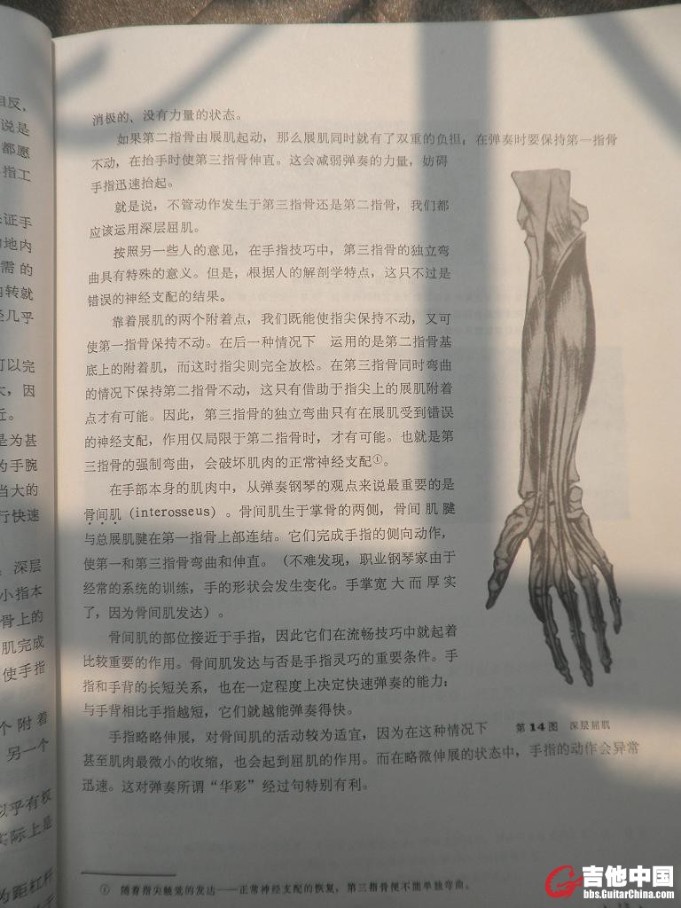 P9080753_PrrUX6KCBaJM.jpg
