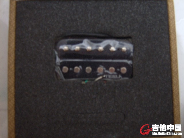 SUC52474.JPG