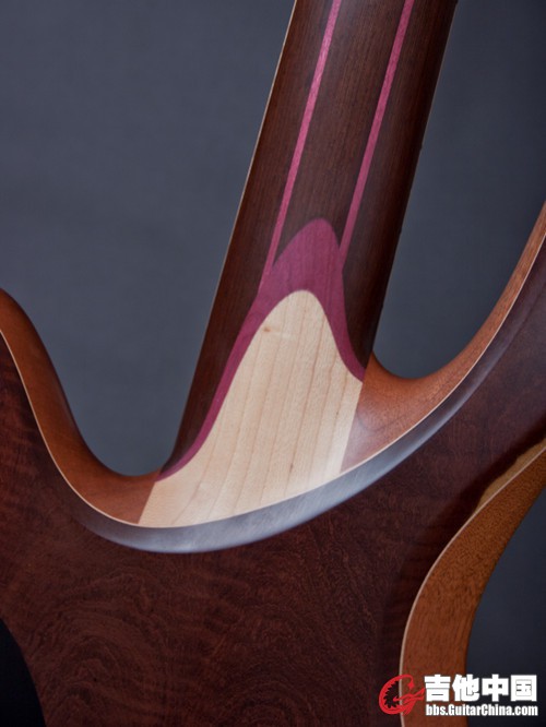 mahogany body（不知为何越来越多的fodera在使用桃花芯琴体）.jpg