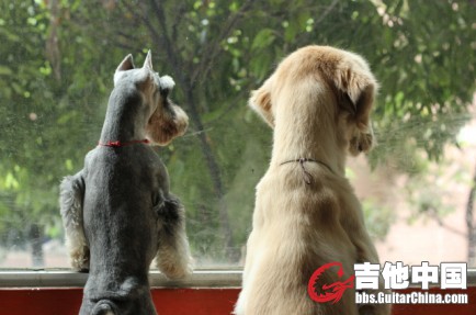 奥黛丽3.jpg