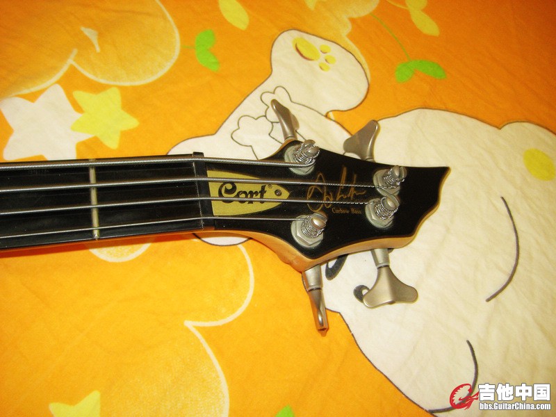 BASS02.jpg