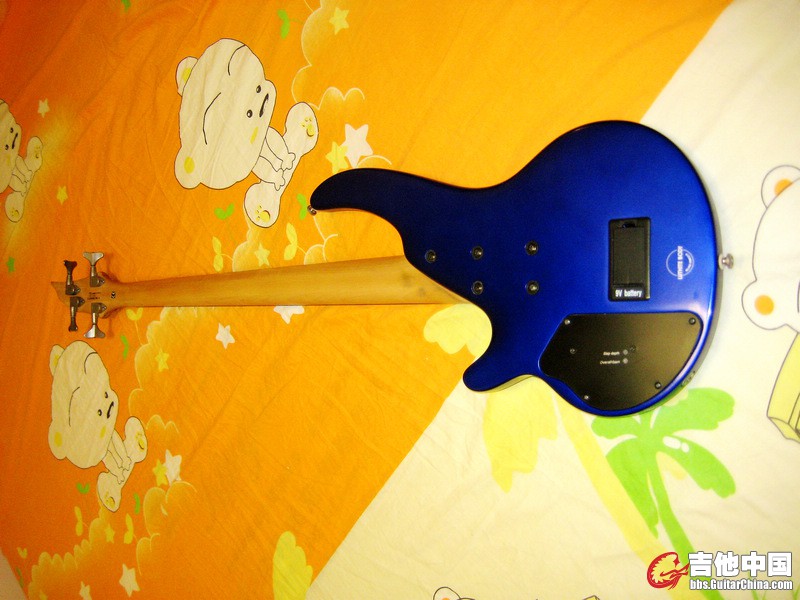 BASS04.jpg