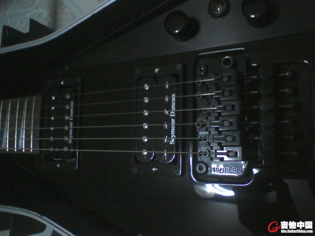 ST310010.JPG