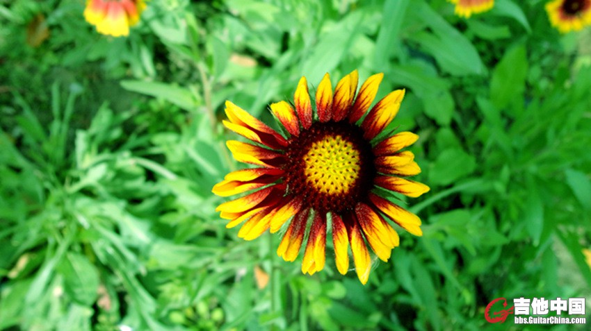 DSC00574.JPG