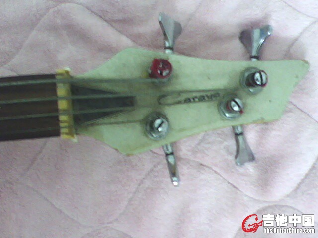 IMG0208A.jpg