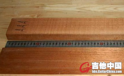 非洲桃 02.jpg