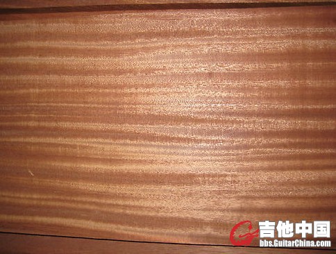 非洲桃 07.jpg