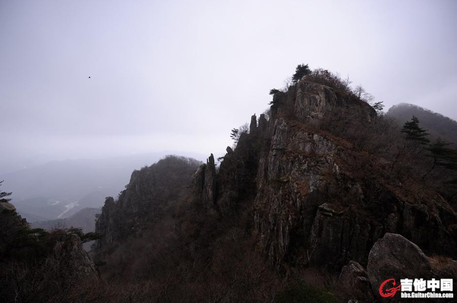 DSC_1696.jpg