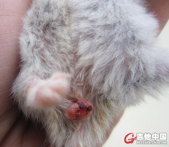 这是什么啊？？？？好恶心。。。。