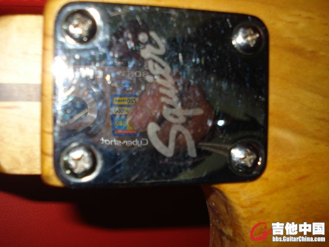 DSC06270.JPG
