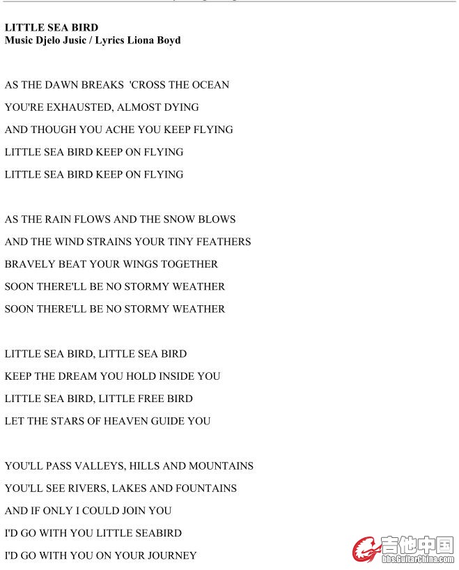 little seabird 1.JPG