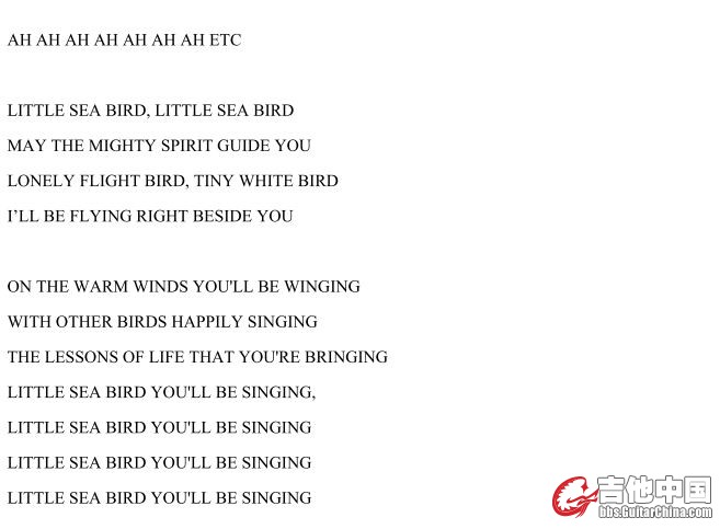little seabird 2.JPG