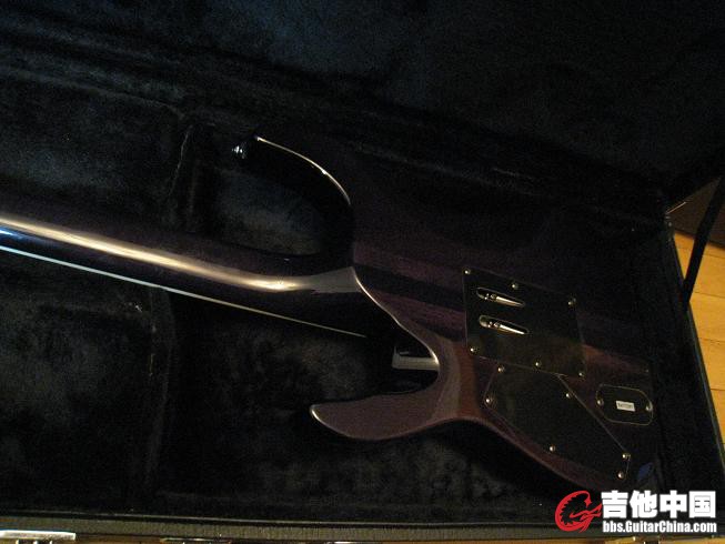 ESP LTD 300 019.jpg