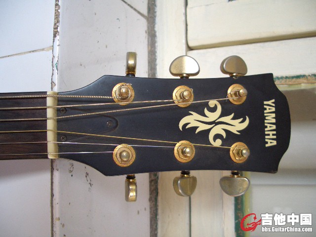 CIMG1503.JPG