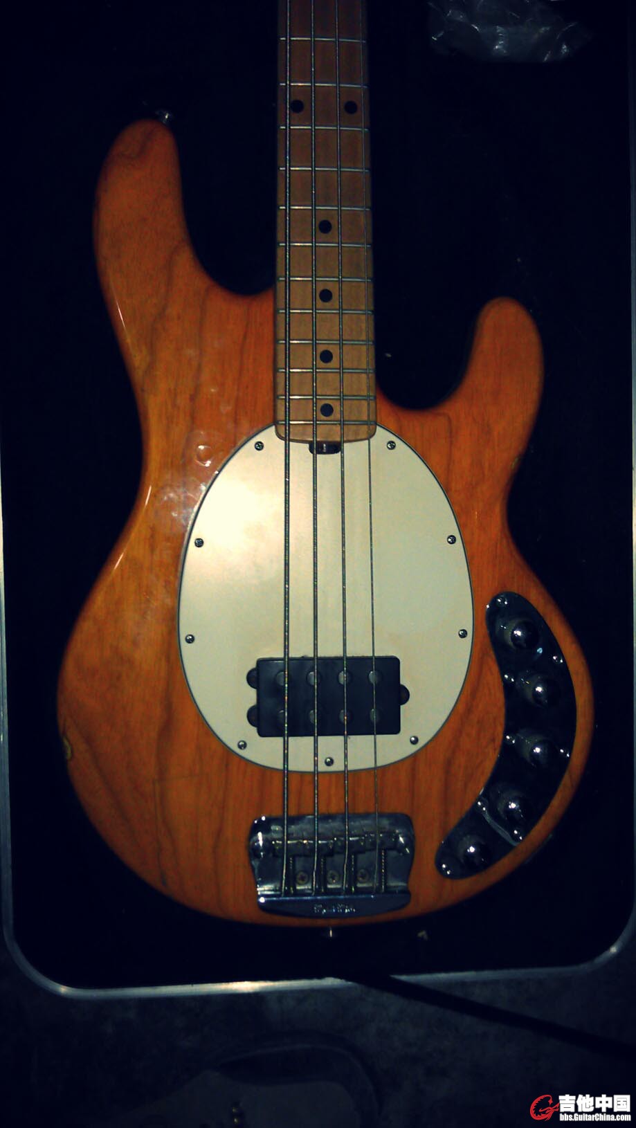 IMAG0489 - Sophia.jpg