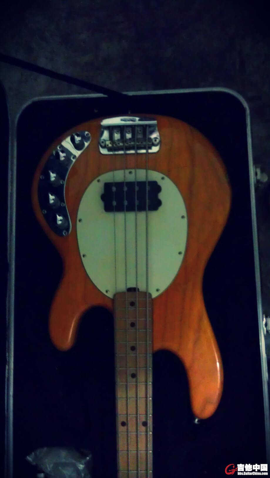 IMAG0501 - Sophia.jpg