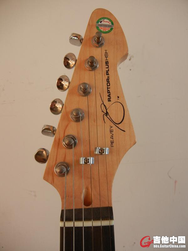 DSCN5466.jpg