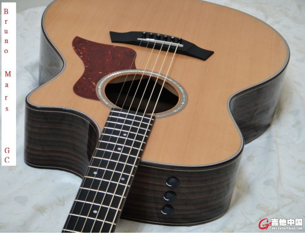 Taylor  714ce   (3)