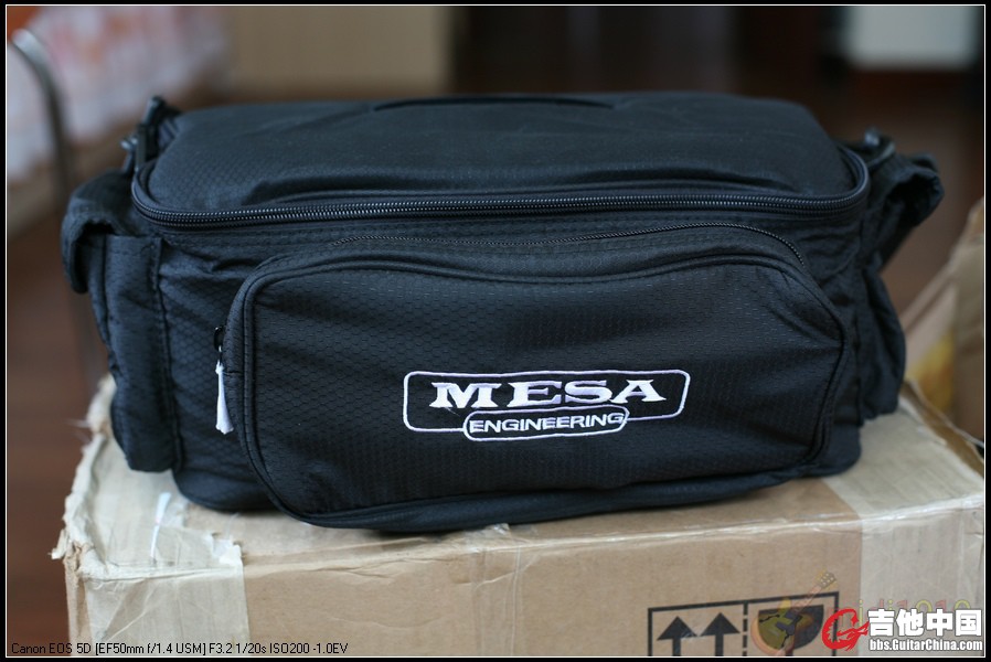 Mesa Boogie TransAtlantic TA-15'.JPG