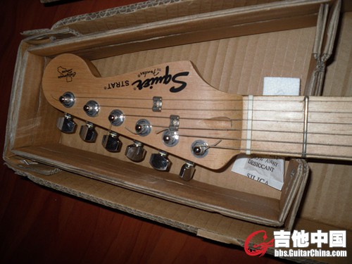 SAM_3113_副本.jpg