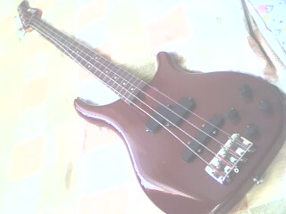 IMG0318A.jpg