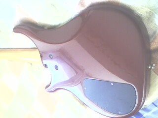 IMG0323A.jpg