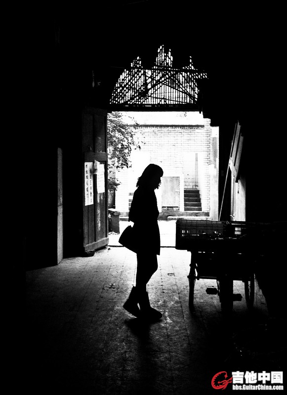 _DSC0353....jpg