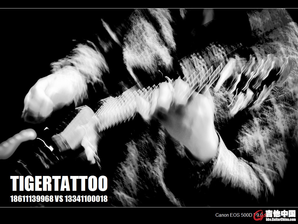 tigertattoo-5743.jpg