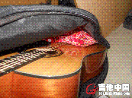 2.GIF