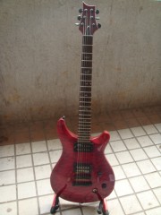 DSC01217.jpg