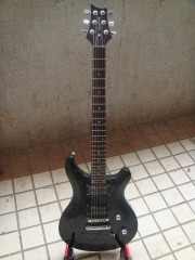 DSC01201.jpg