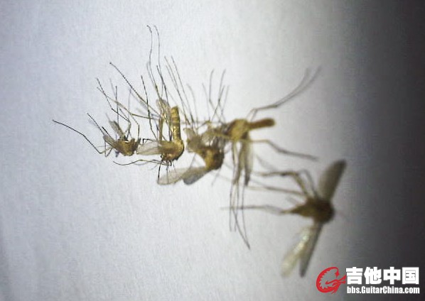 IMG-20120315-00524.jpg