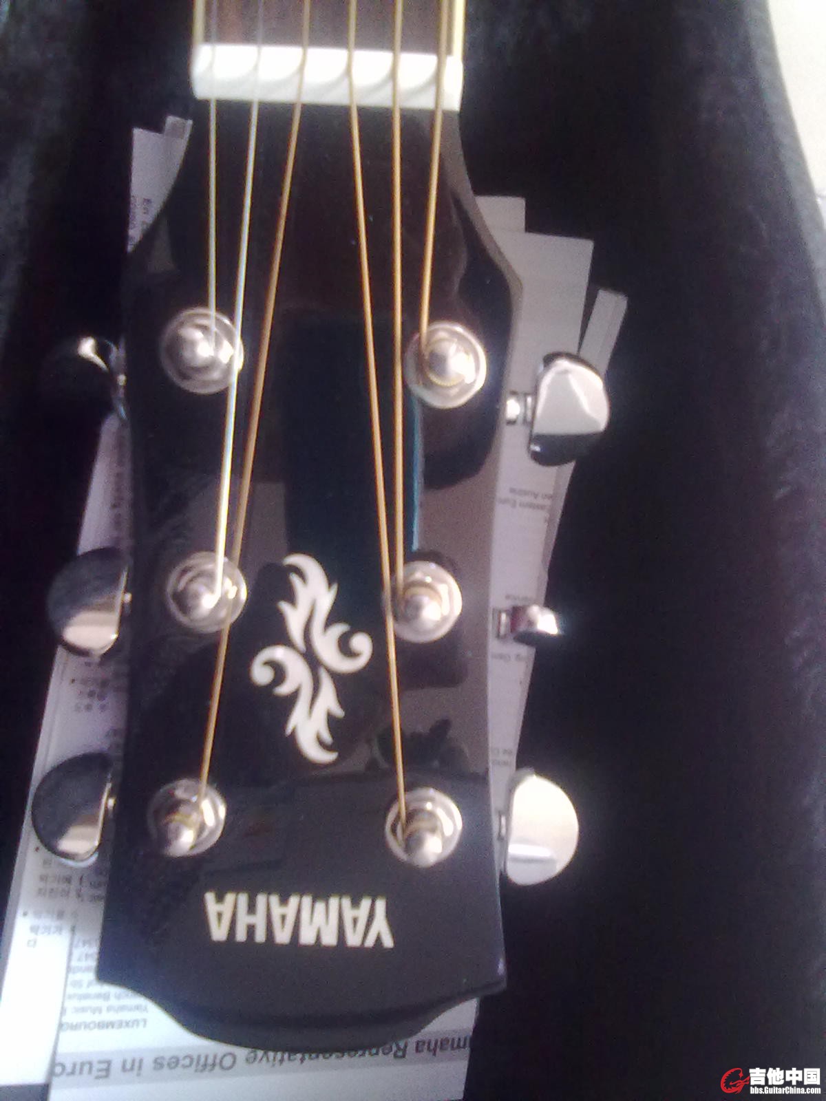 20120324115.jpg