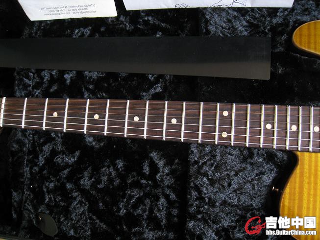 anderson  cobra 009.jpg