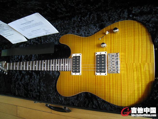 anderson  cobra 007.jpg