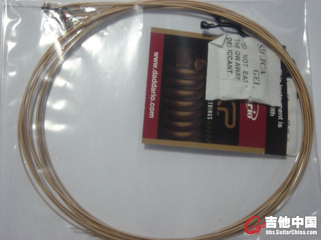 DSC00305.JPG