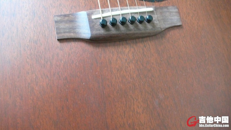 P1040365.JPG