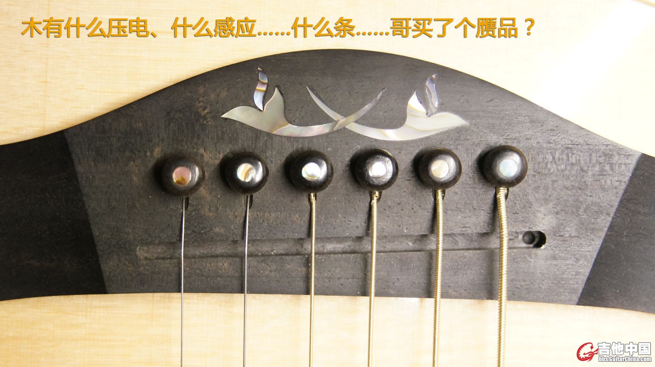 DSC00805.jpg