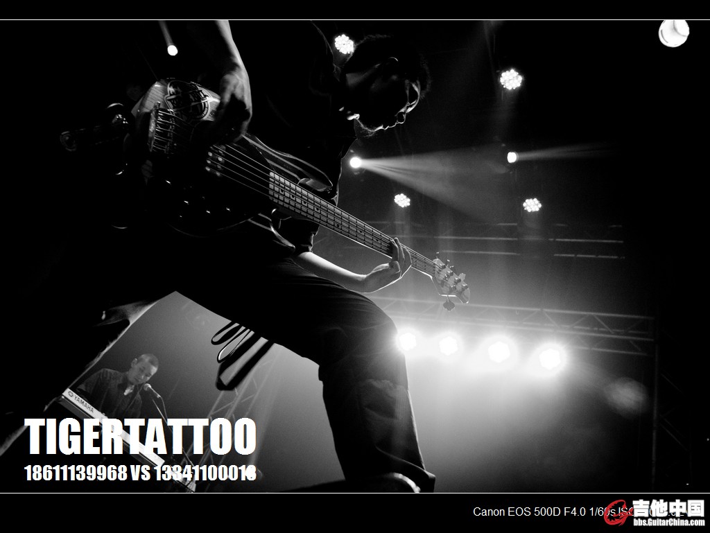 tigertattoo-0249.jpg